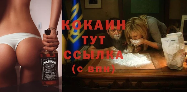 твердый Магас