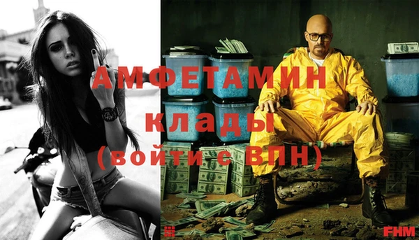 твердый Магас