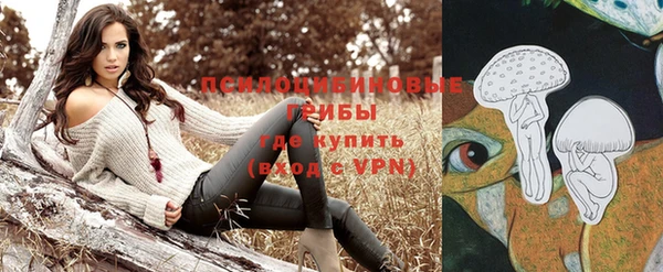 твердый Магас