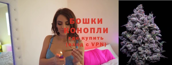 твердый Магас
