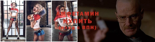 твердый Магас