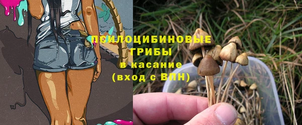 герыч Майский