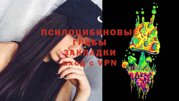 твердый Магас
