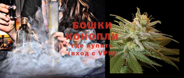 твердый Магас