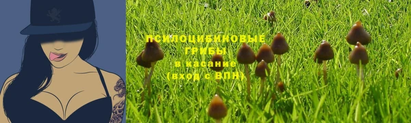 твердый Магас