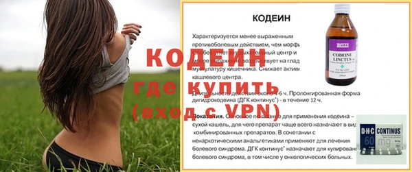 твердый Магас